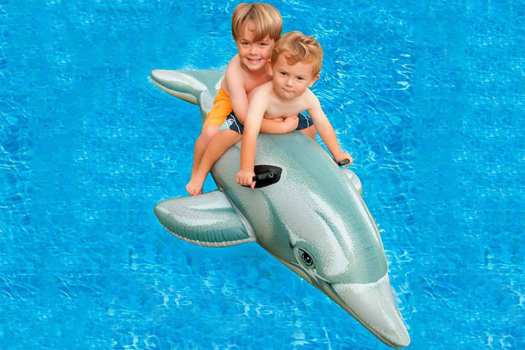Phao bơi cá heo Intex