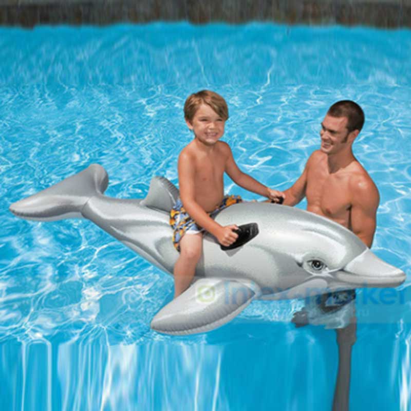 Phao bơi cá heo Intex