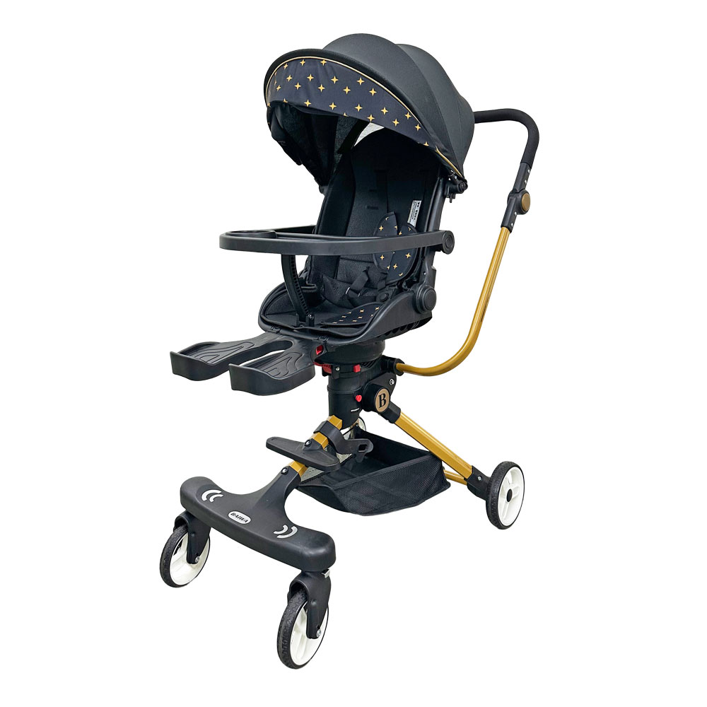 Xe đẩy trẻ em 2 chiều