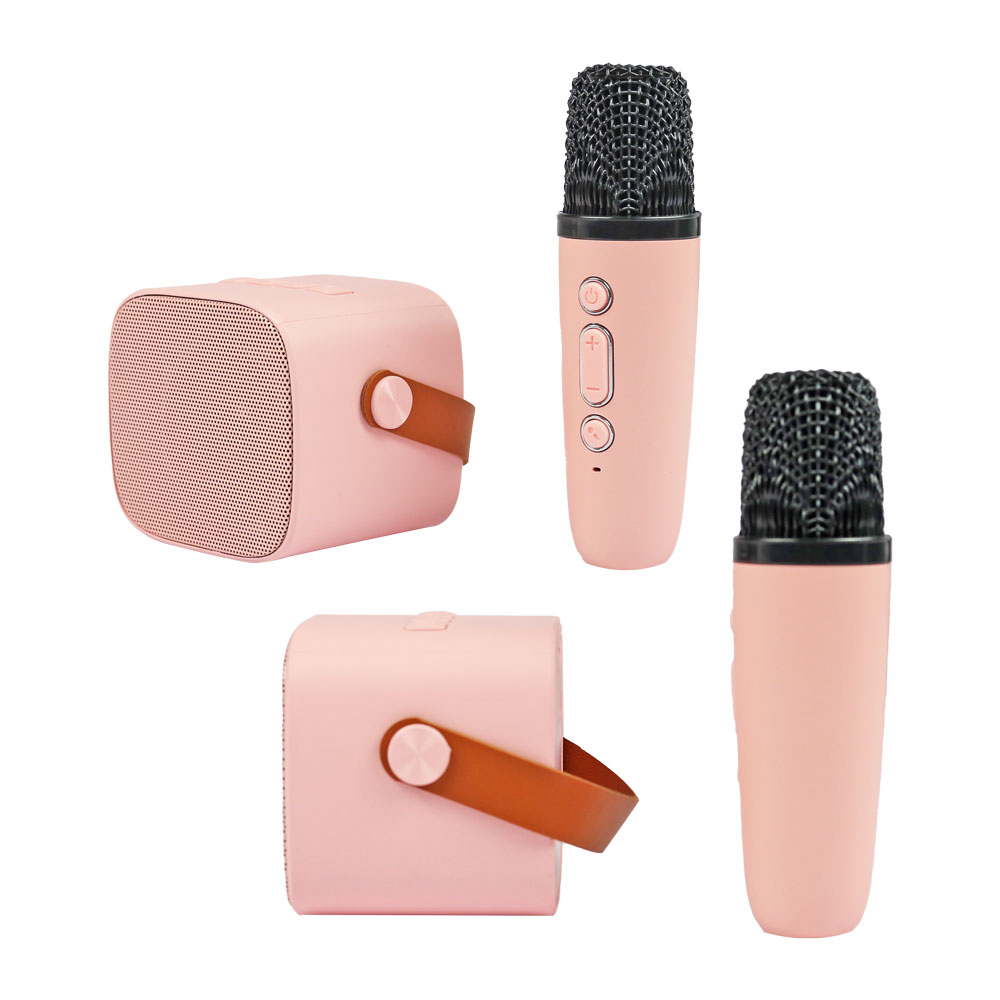 Đồ chơi loa kèm 2 mic cho bé