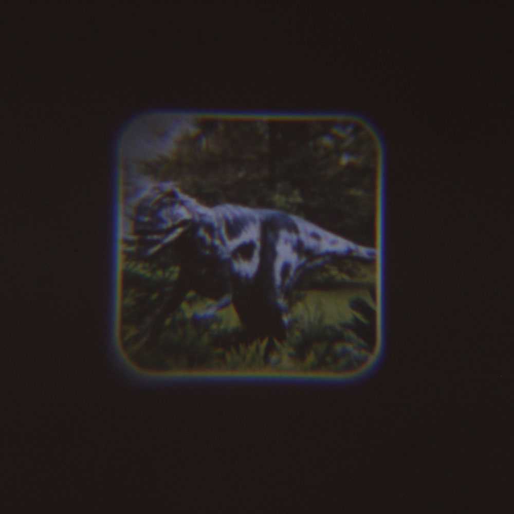 Đồ chơi đèn chiếu vẽ thế giới khủng long