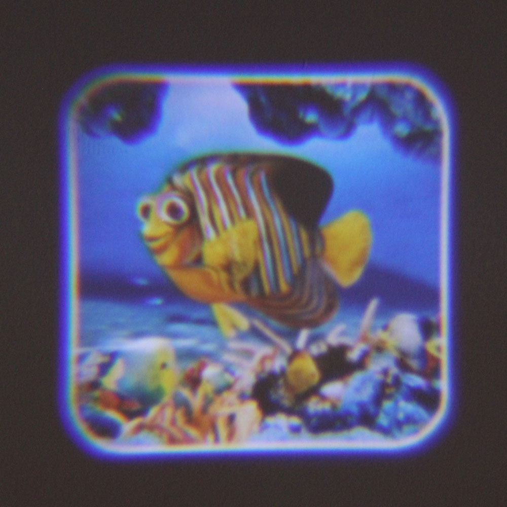 Đồ chơi đèn chiếu vẽ thế giới đại dương