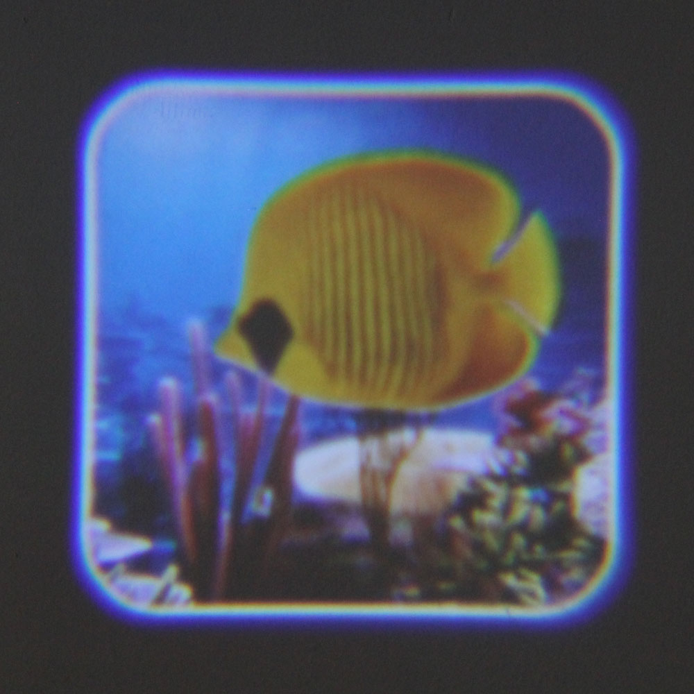 Đồ chơi đèn chiếu vẽ thế giới đại dương